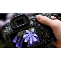 Privater Fotokurs online Privater Fotokurs online