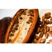 Schokoladenverkostung Online Schokoladenverkostung Online