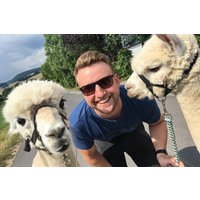 Alpaka Wanderung Göttingen Alpaka Wanderung Göttingen