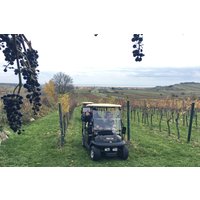 Weinbergsrundfahrt Jois (2 Stunden) Weinbergsrundfahrt Jois (2 Stunden)