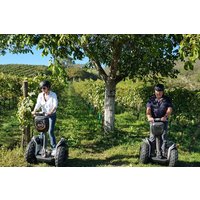 Segway Tour durch die Weingärten von Jois Segway Tour durch die Weingärten von Jois