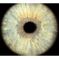 Iris Fotoshooting Hochdorf Iris Fotoshooting Hochdorf