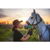 Wanderreiten Aschbach Wanderreiten Aschbach