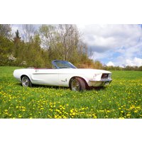 Ford Mustang Oldtimer mieten Thale Ford Mustang Oldtimer mieten Thale