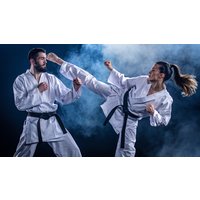 Online Karate Einsteigerkurs Online Karate Einsteigerkurs