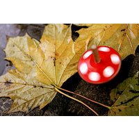 Fotokurs Prag Fotokurs Prag