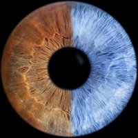 Iris Fotoshooting Haiger für 2 (1 Std.) Iris Fotoshooting Haiger für 2 (1 Std.)