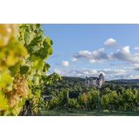 Burgführung Maria Enzersdorf (1 Std.) Burgführung Maria Enzersdorf (1 Std.)