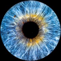 Iris Fotografie Hechingen Iris Fotografie Hechingen