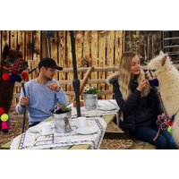 Alpaka Wanderung für 2 Wulften Alpaka Wanderung für 2 Wulften