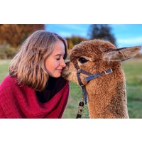 Übernachtung auf der Alpakafarm Affinghausen für 2 (1 Nacht) Übernachtung auf der Alpakafarm Affinghausen für 2 (1 Nacht)