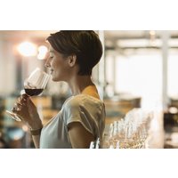 Weinseminar für Genießer Rauchwart Weinseminar für Genießer Rauchwart