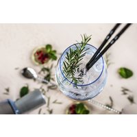 Gin Tasting Karlsruhe Gin Tasting Karlsruhe