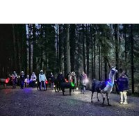 Laternenwanderung mit Alpakas für 2 Neckargerach Laternenwanderung mit Alpakas für 2 Neckargerach