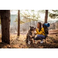 Urlaub mit Hund im Harz für 2 (2 Nächte) Urlaub mit Hund im Harz für 2 (2 Nächte)