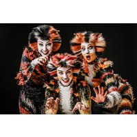 Musical Starlights (Show) Werl Musical Starlights (Show) Werl