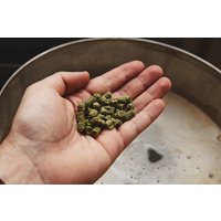 Braukurs Oberhaching Braukurs Oberhaching