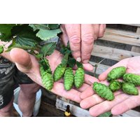 Brauseminar Oberhaching Brauseminar Oberhaching