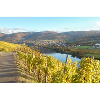 Weinwanderung und Schifffahrt auf der Mosel Bernkastel Weinwanderung und Schifffahrt auf der Mosel Bernkastel