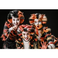 Musical Dinner Erkrath Musical Dinner Erkrath