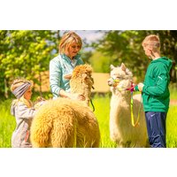 Alpaka Wanderung Eichendorf Alpaka Wanderung Eichendorf