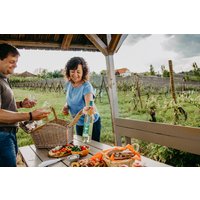 Picknick Bad Waltersdorf Picknick Bad Waltersdorf