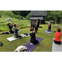 Lama Wanderung mit Yoga & Brunch Lama Wanderung mit Yoga & Brunch