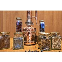 Gin Tasting Ehingen mit Brennkurs Gin Tasting Ehingen mit Brennkurs