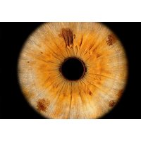 Iris Fotoshooting Chur Iris Fotoshooting Chur