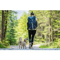 Urlaub mit Hund im Harz für 2 (1 Nacht) Urlaub mit Hund im Harz für 2 (1 Nacht)