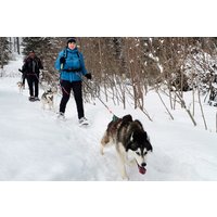 Husky Schneeschuhtrekking Postalm für 2 Husky Schneeschuhtrekking Postalm für 2
