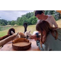 Alpaka Wanderung St. Egidien für 2 Alpaka Wanderung St. Egidien für 2