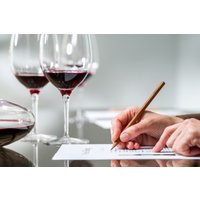 Weinseminar Einsteiger Köln – Jetzt erleben! Weinseminar Einsteiger Köln – Jetzt erleben!