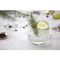 Gin Tasting Bonn Gin Tasting Bonn