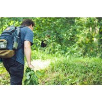 Wildkräuter Kochkurs Hattingen Wildkräuter Kochkurs Hattingen