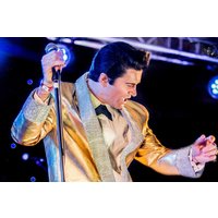 Elvis Dinner Kurort Oberwiesenthal Elvis Dinner Kurort Oberwiesenthal