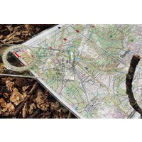 Survival Tag Oberthal Survival Tag Oberthal