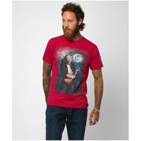 Wolfy Beats Tee at Joe Browns Wolfy Beats Tee.