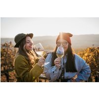 Weinprobe – Verkostung feiner Weine Weinprobe – Verkostung feiner Weine