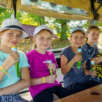 Bad Schmiedeberg inkl. Halbpension Bad Schmiedeberg inkl. Halbpension