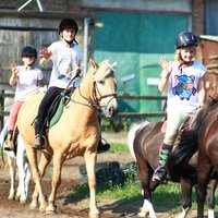 Reitercamp Mecklenburg Reitercamp Mecklenburg