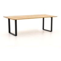 Apple Bee Condor Gartentisch 240x95x75 cm Apple Bee Condor Gartentisch 240x95x75 cm