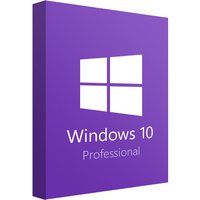Windows 10 Professional