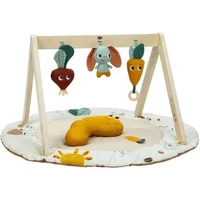 Tiny Love Luxe Gymini Activity Gym - Garden of Adventures
