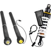 Touratech Suspension Set Cartridge und Federbein Plug&Travel für BMW R1250R (2018-)