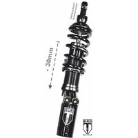 BLACK-T Tieferlegung (-30mm) Stage3 mit Reservoir für Indian FTR 1200 / FTR 1200 S (2019-2021)