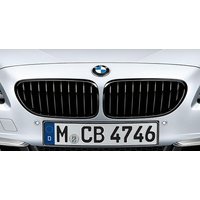 orig. BMW 6er F06 F12 F13 LCI M Performance Frontziergitter Ziergitter Schwarz
