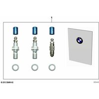 BMW HP Bremsen- Entlüftungsventil