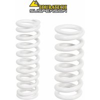 Austauschfedern linear vorn und hinten für BMW R1200GS / R1250GS Adventure 2013-2023 „Original Feder