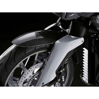 BMW K 1200 / 1300 R Carbon Radabdeckung vorne
